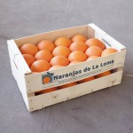 Yafer_naranjas_de_la_loma_naranjas